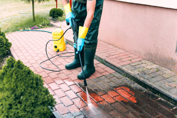 Best House Exterior Washing  in New Paris, IN